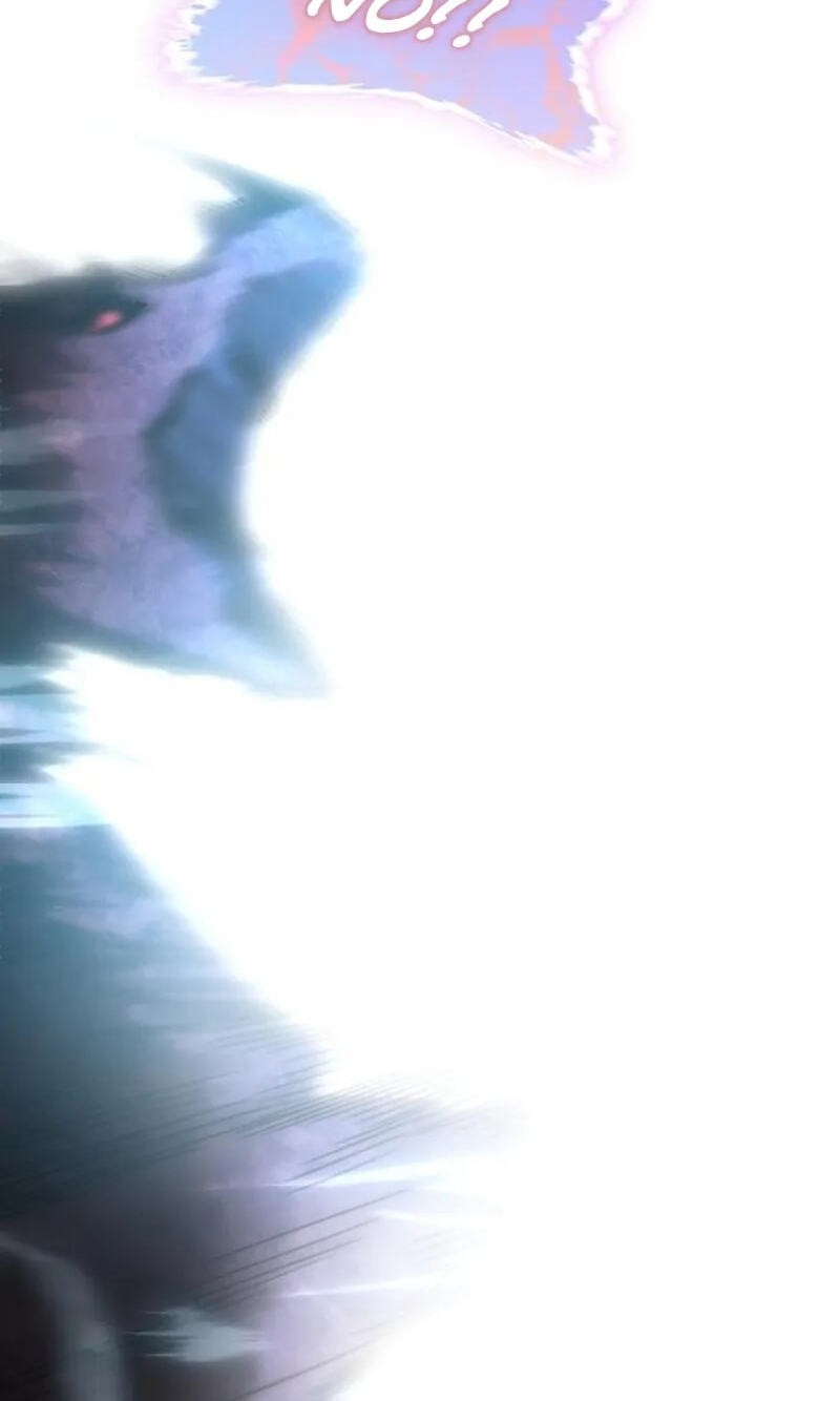 Transcension Academy 218 127