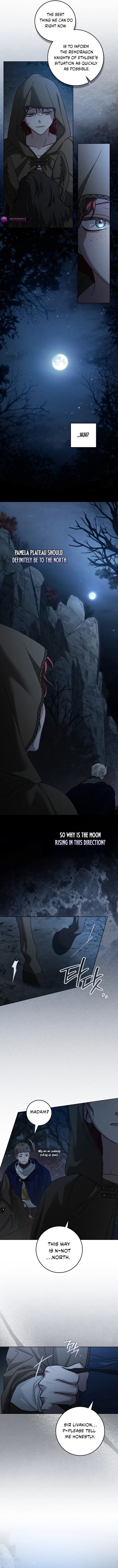 Under The Oak Tree 135 9