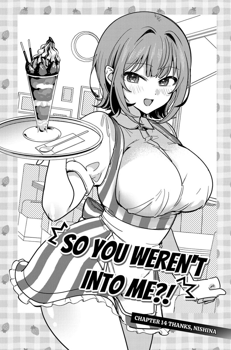 Watashi No Koto Suki Ja Nakatta No Ka Yo 14 2