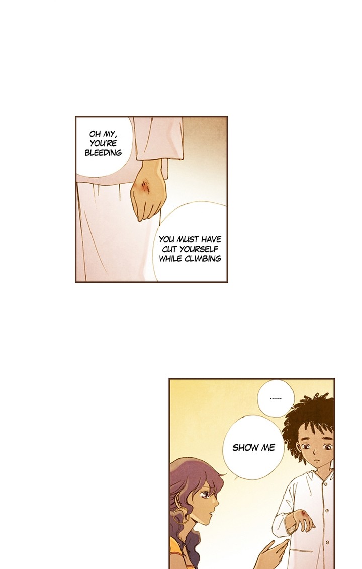 Westwood Vibrato 46 40