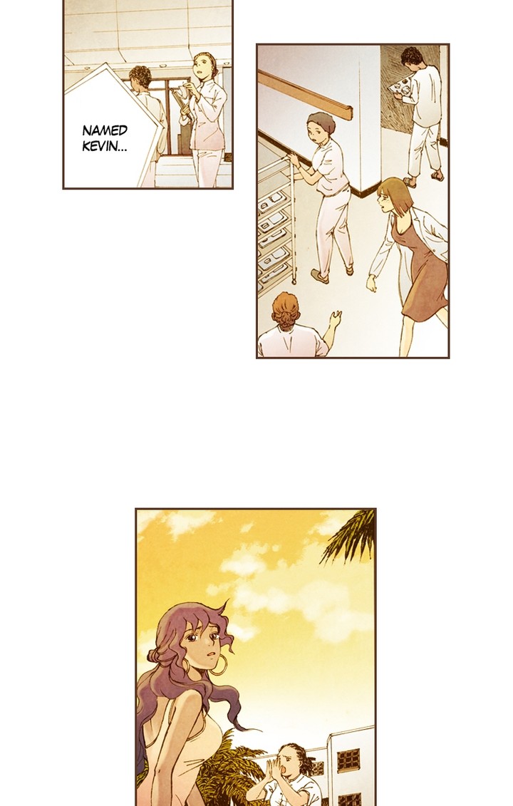 Westwood Vibrato 47 22