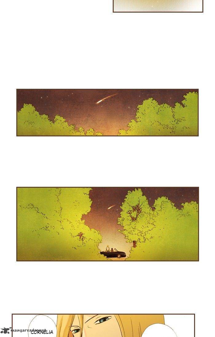 Westwood Vibrato 53 14