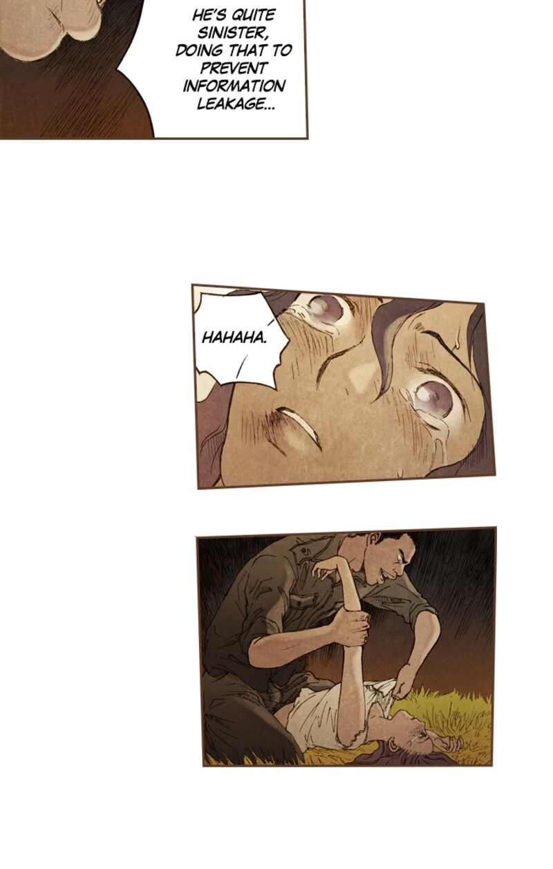 Westwood Vibrato 61 5