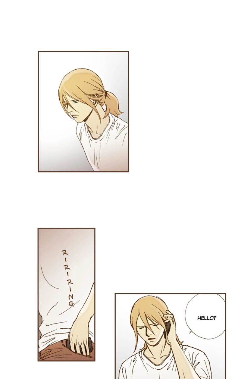 Westwood Vibrato 63 26