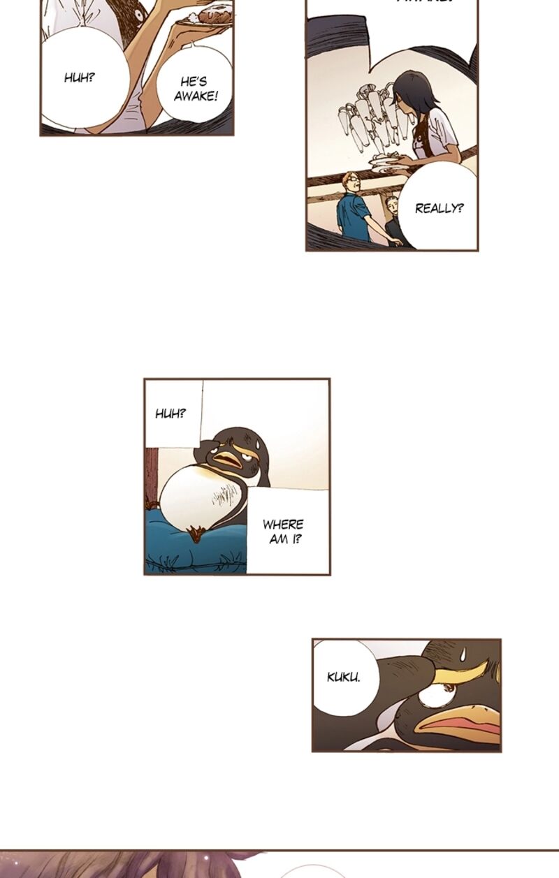 Westwood Vibrato 71 32