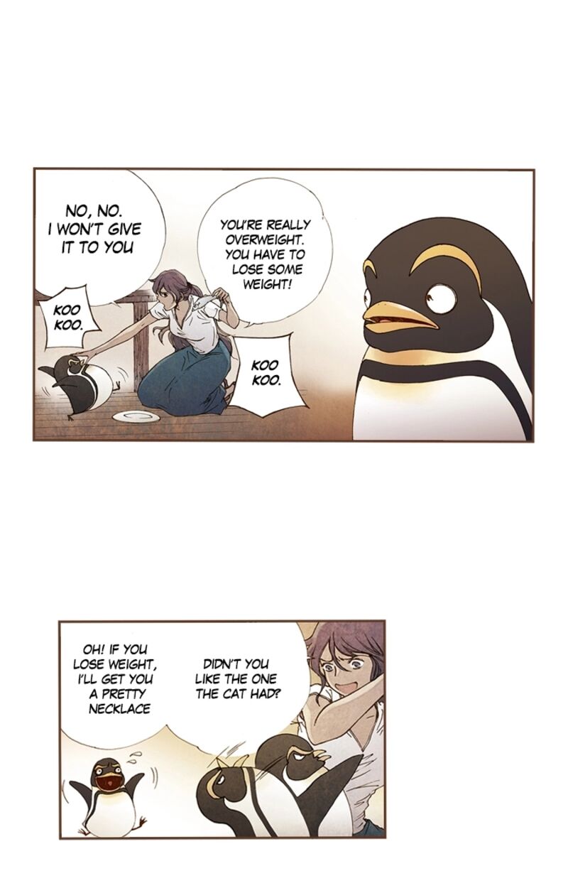 Westwood Vibrato 71 8