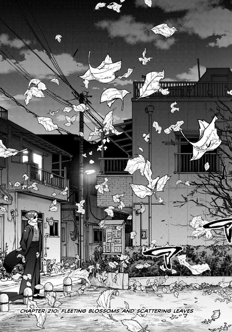 Wind Breaker Japan 210 3