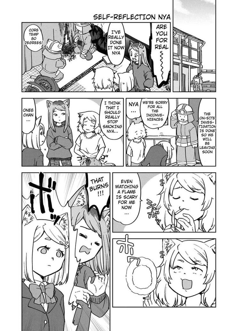 Yani Neko 104 3