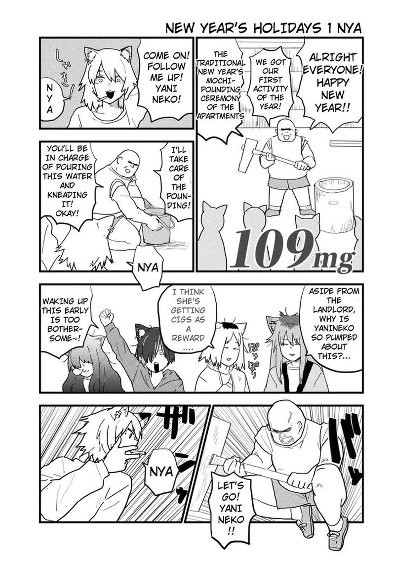 Yani Neko 109 1