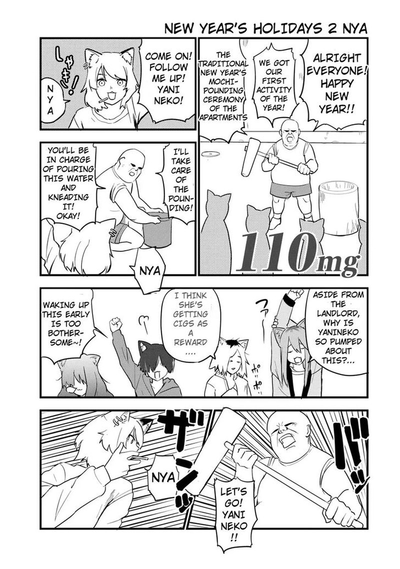 Yani Neko 110 1