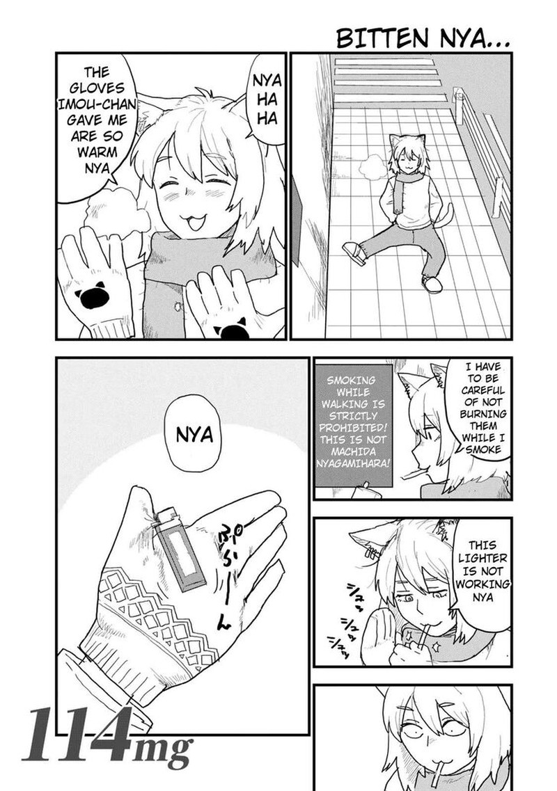 Yani Neko 114 1