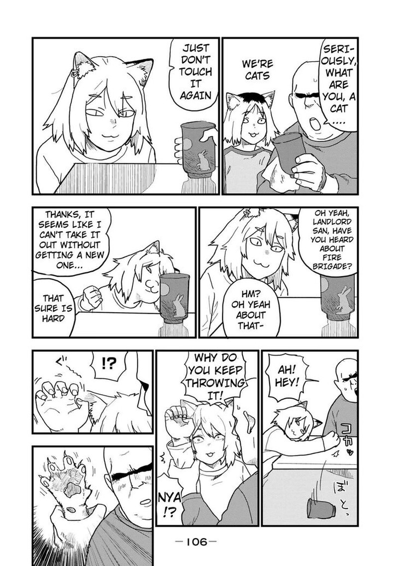 Yani Neko 115 2