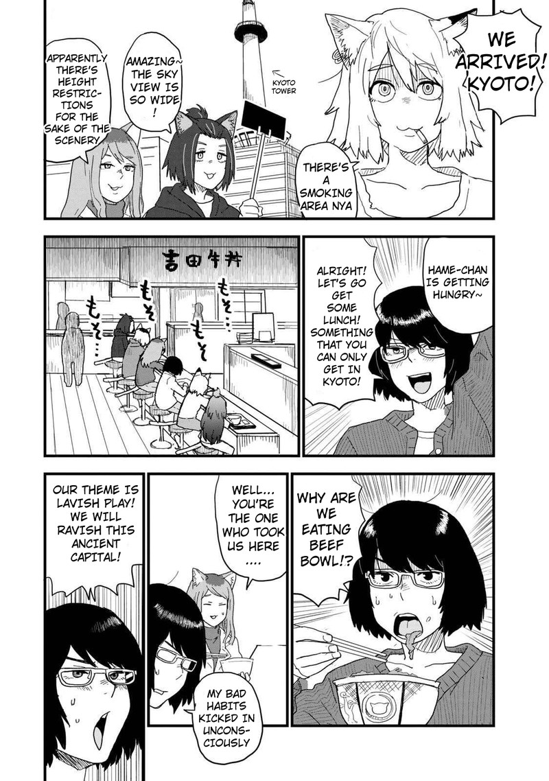Yani Neko 128 2
