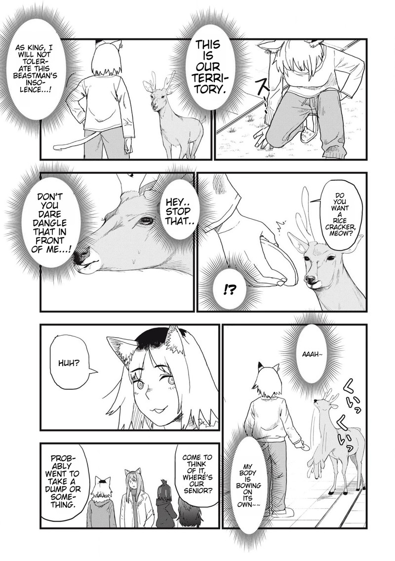 Yani Neko 131 3