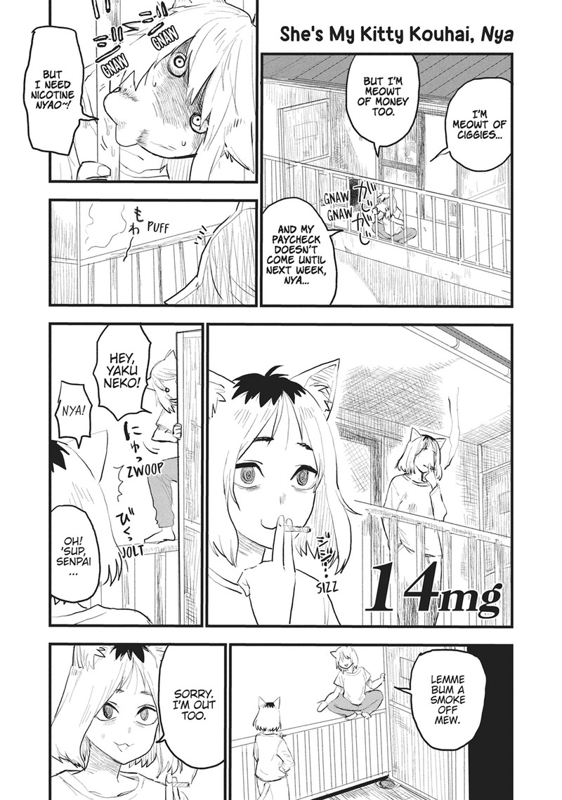 Yani Neko 14 1