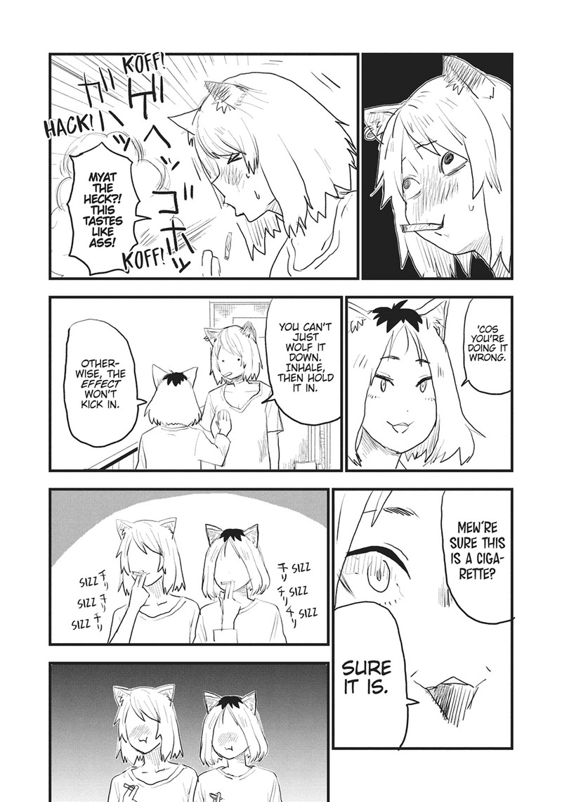 Yani Neko 14 3