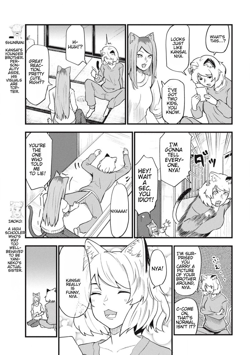 Yani Neko 141 3