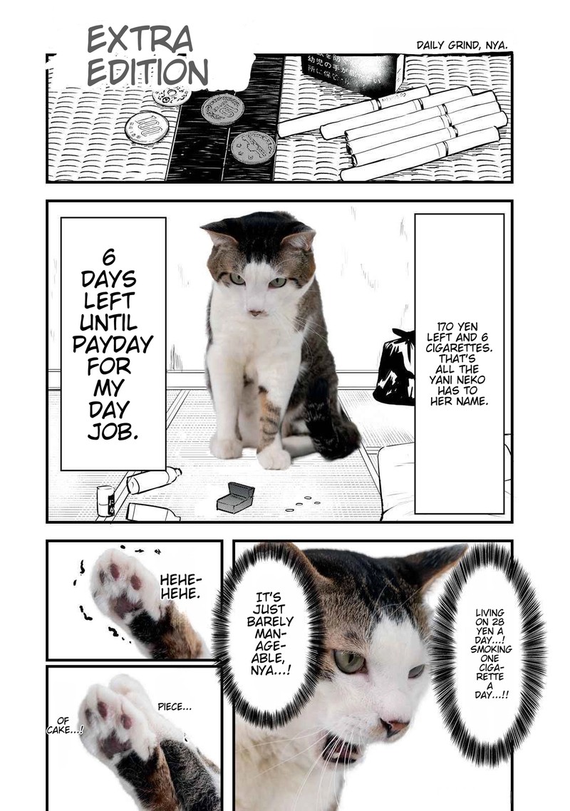 Yani Neko 141a 1
