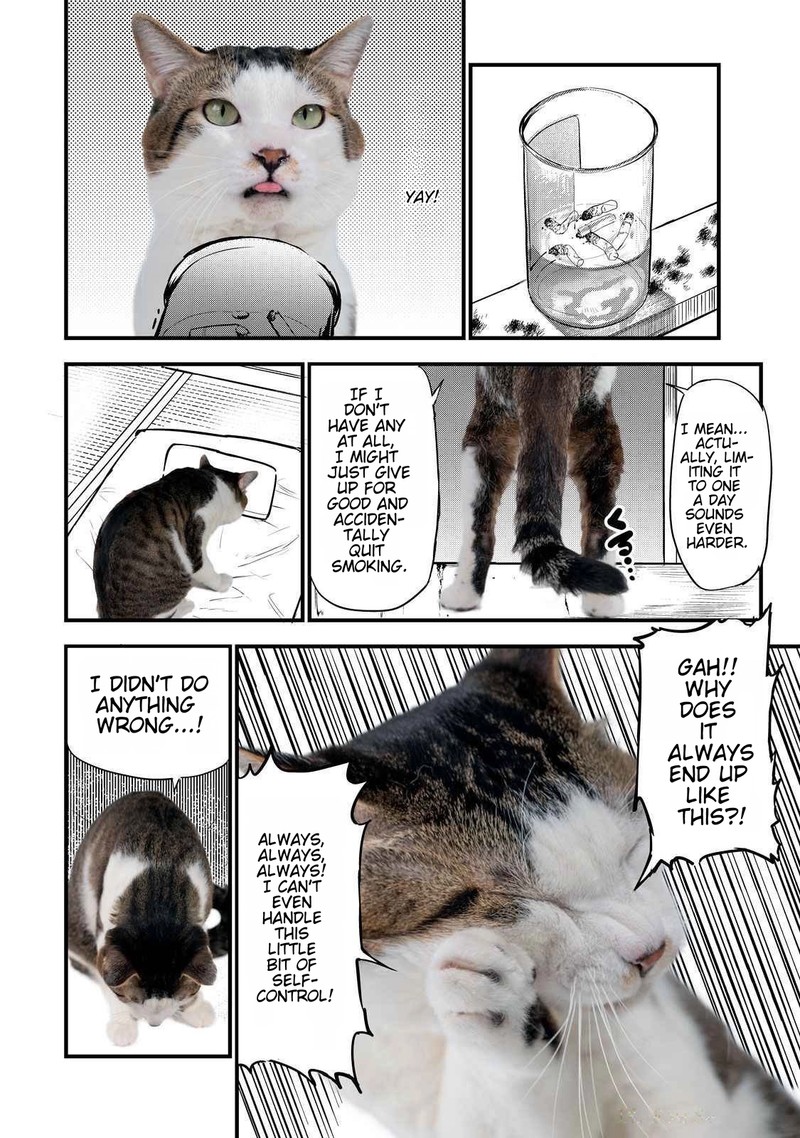 Yani Neko 141a 3