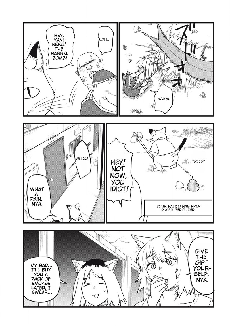 Yani Neko 145 3