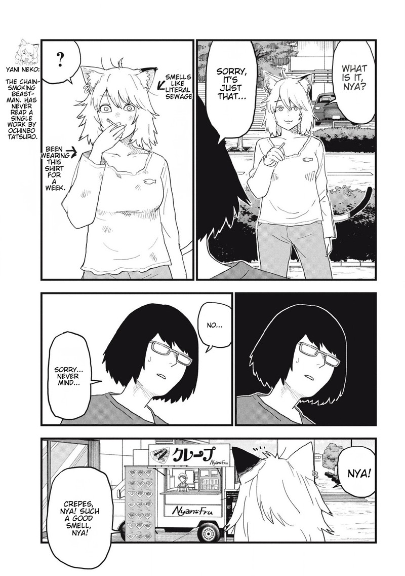 Yani Neko 146 3