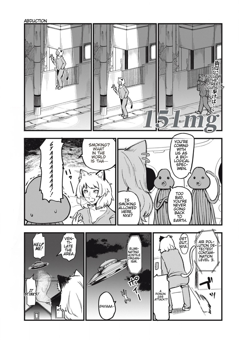 Yani Neko 151 1