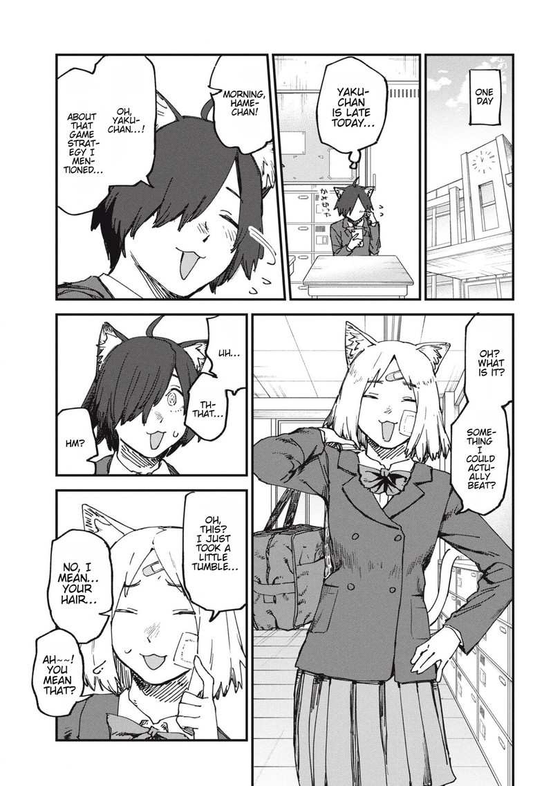 Yani Neko 155 5
