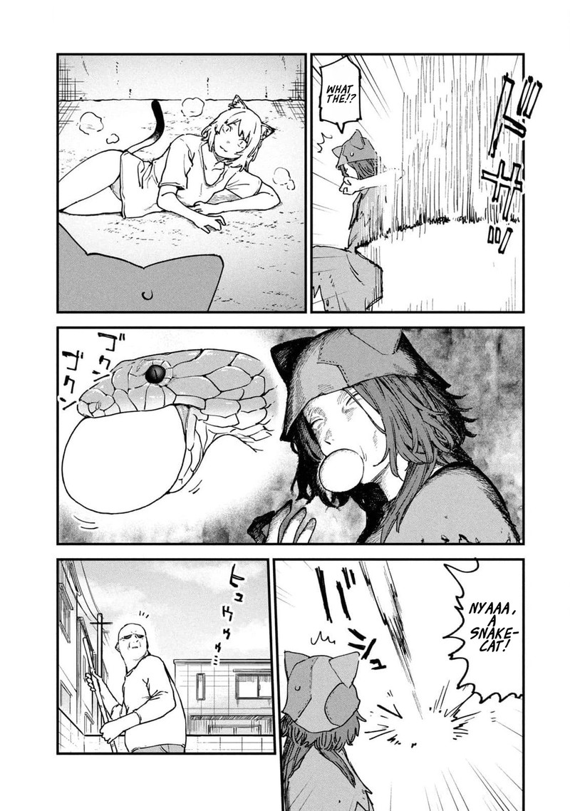 Yani Neko 161 3