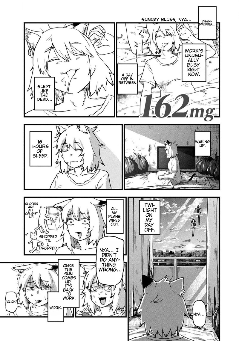 Yani Neko 162 1