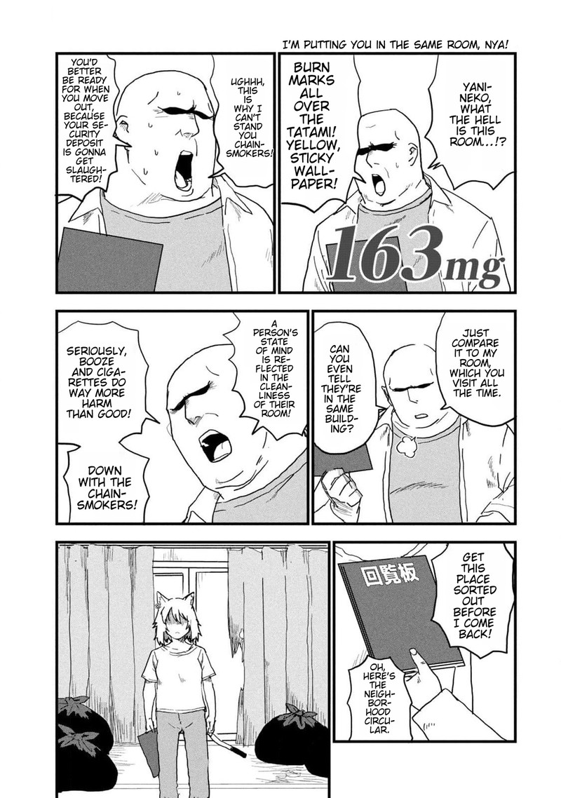 Yani Neko 163 1