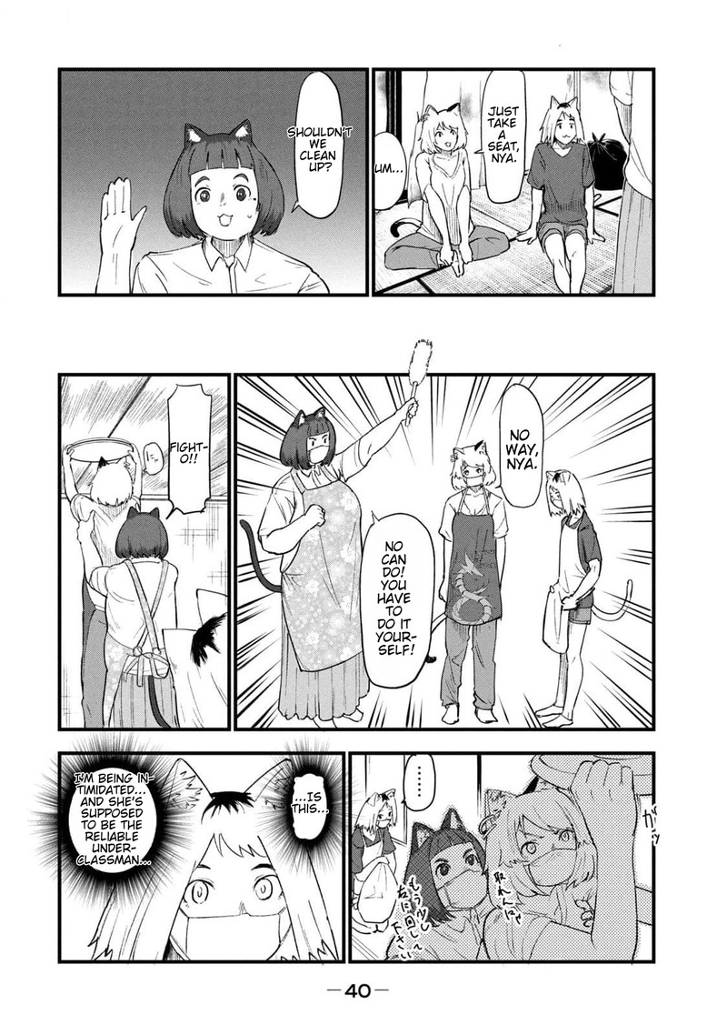 Yani Neko 165 2
