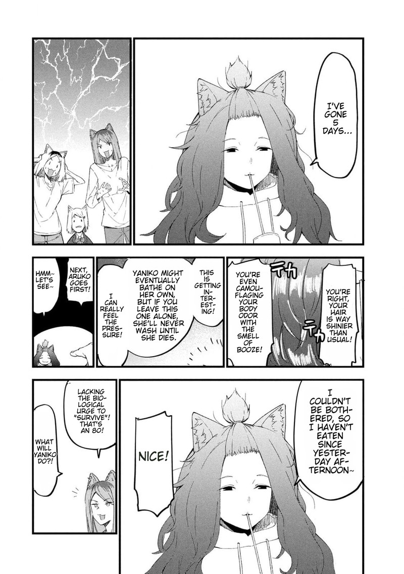 Yani Neko 168 2