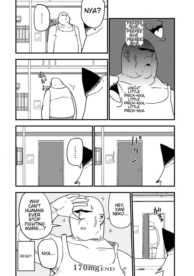 Yani Neko 170 6