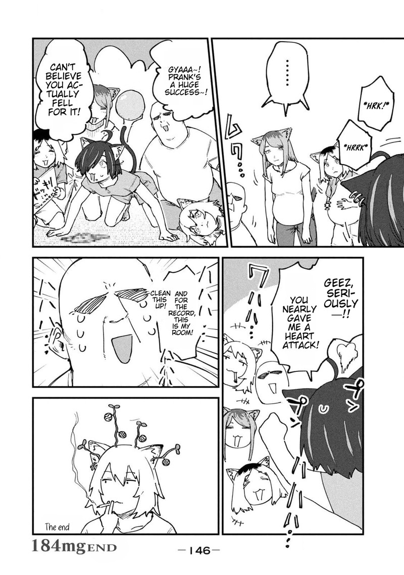 Yani Neko 184 8