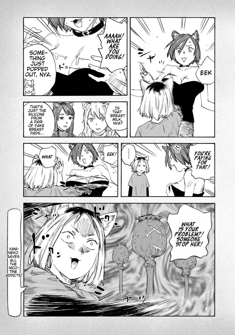 Yani Neko 187a 3