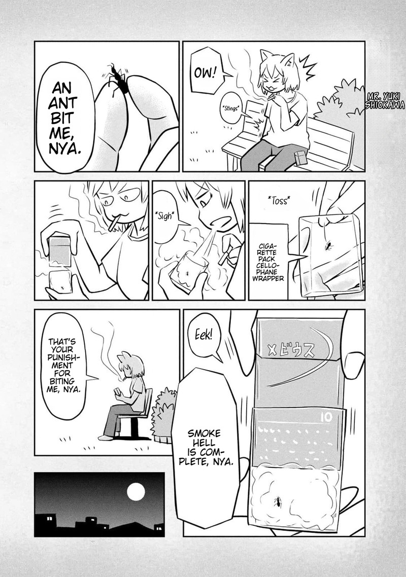 Yani Neko 187a 4