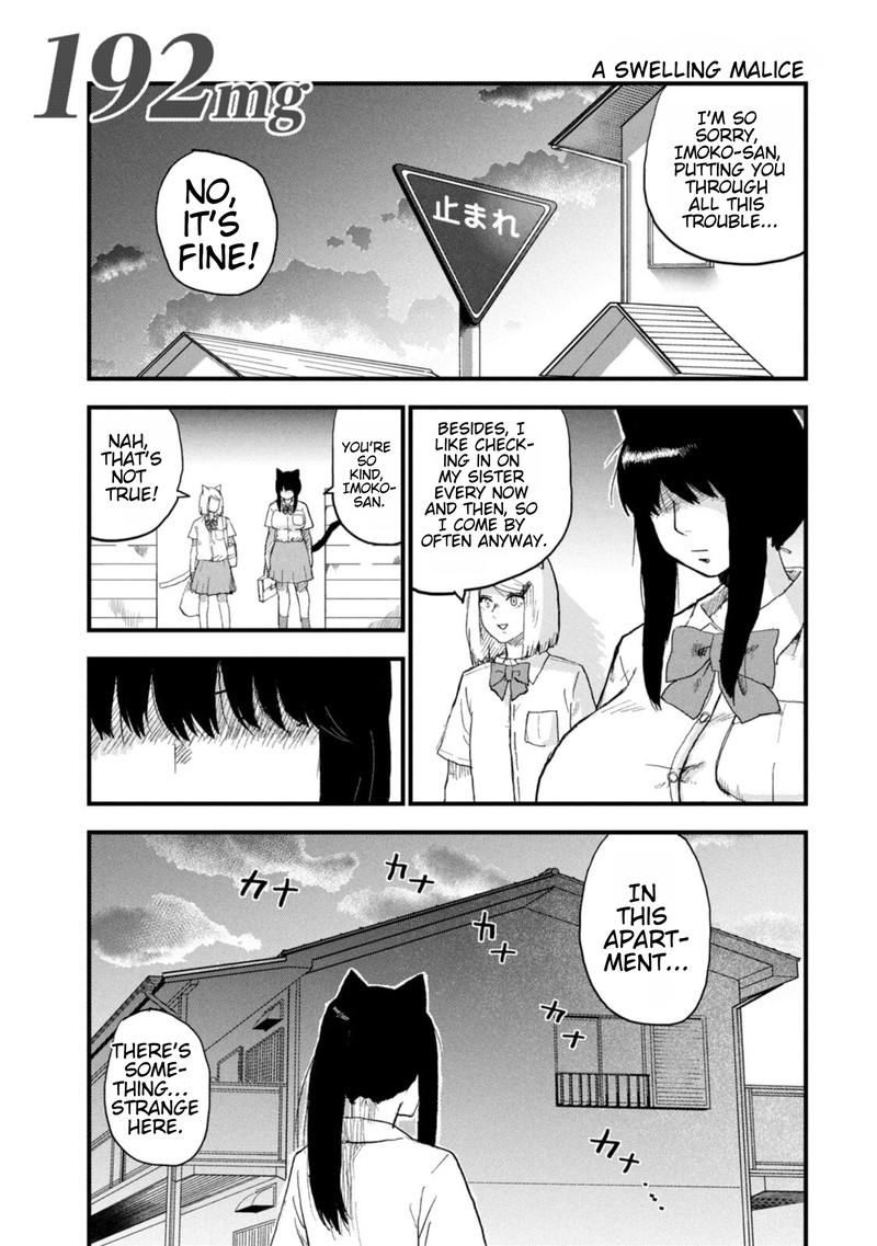 Yani Neko 192 1
