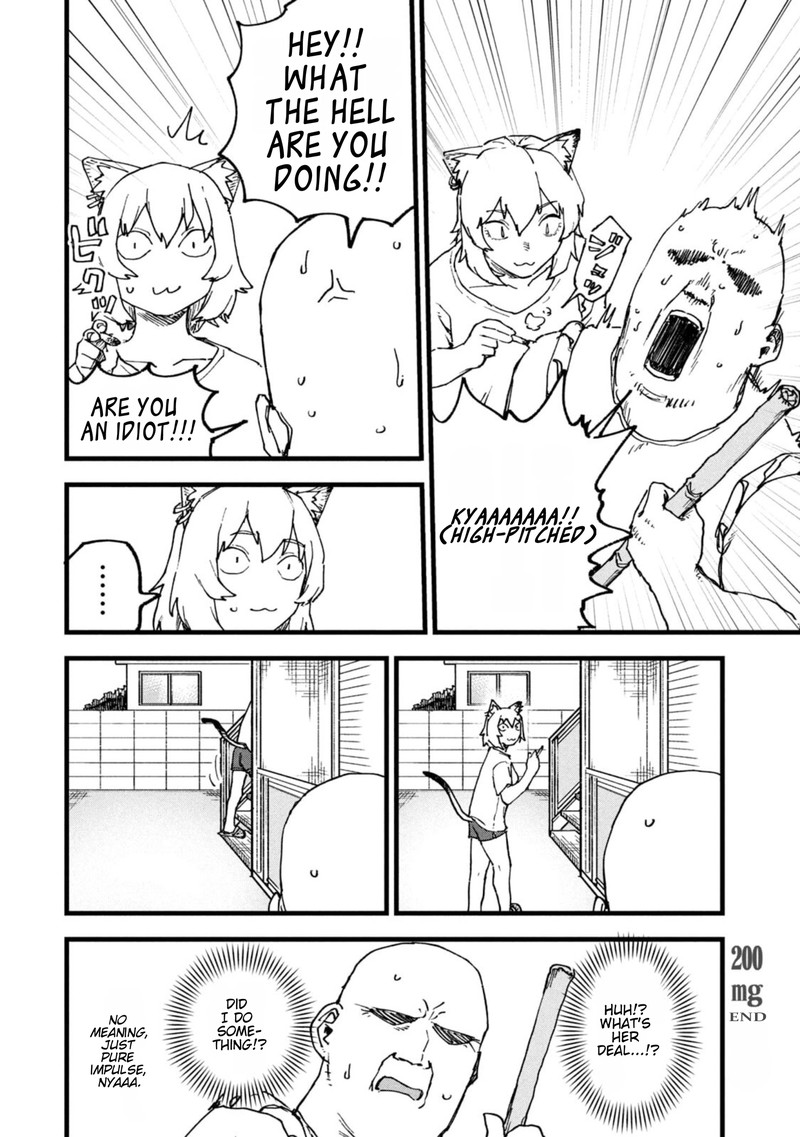 Yani Neko 200 4