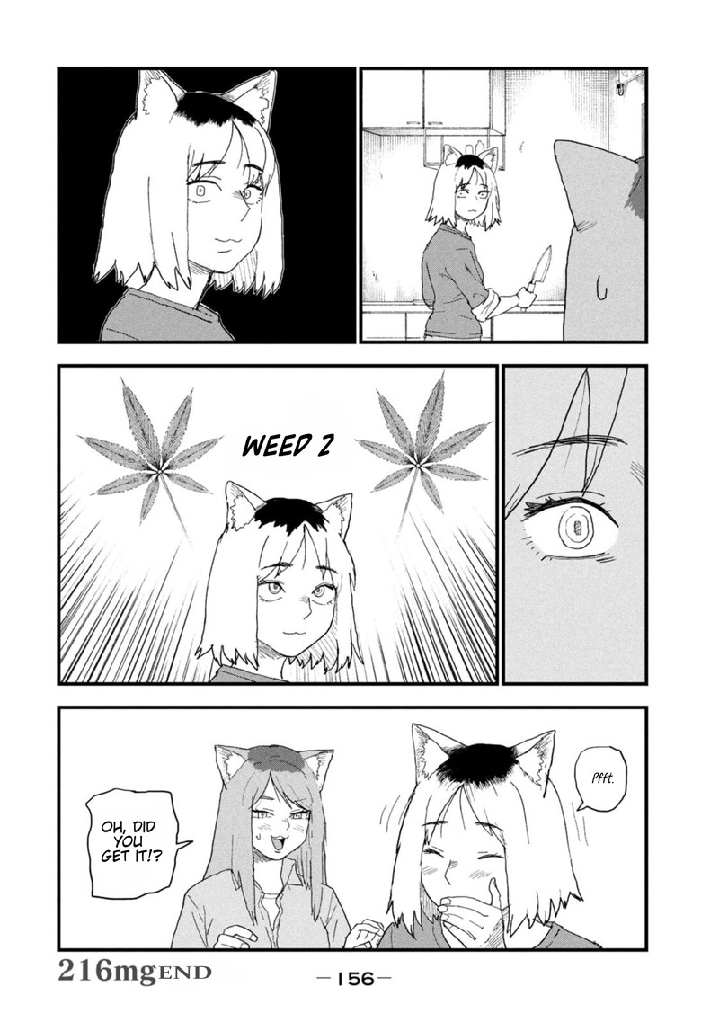 Yani Neko 216 4