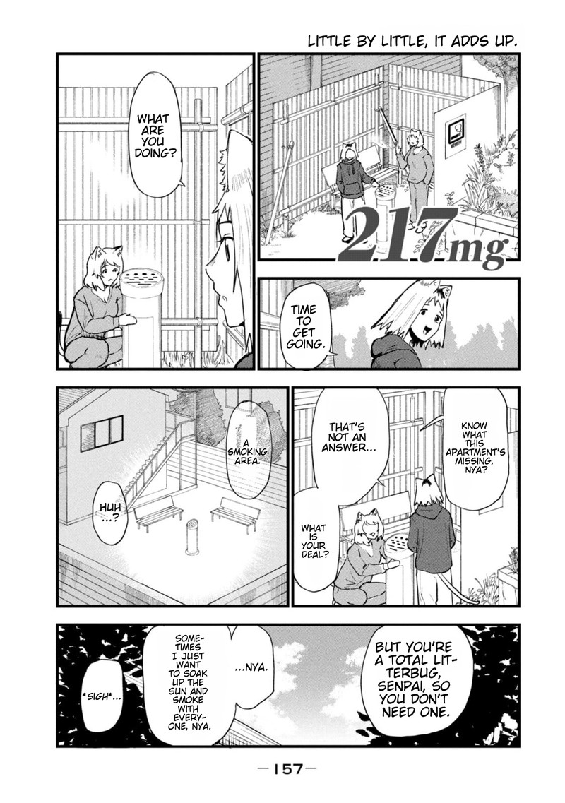 Yani Neko 217 1
