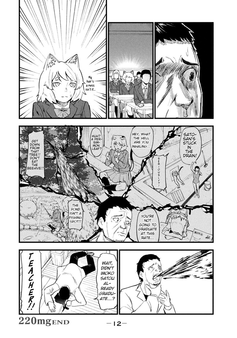 Yani Neko 220 4