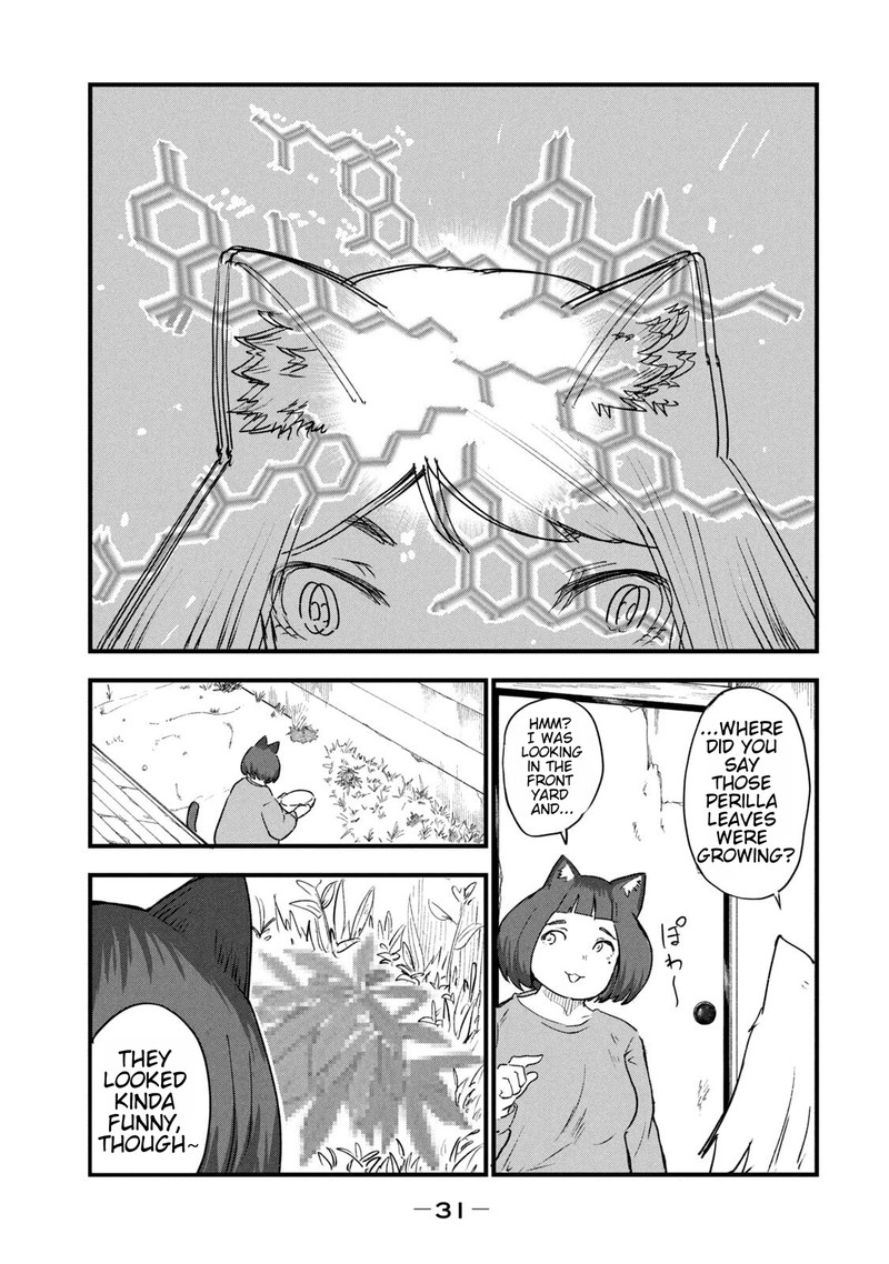 Yani Neko 224 3
