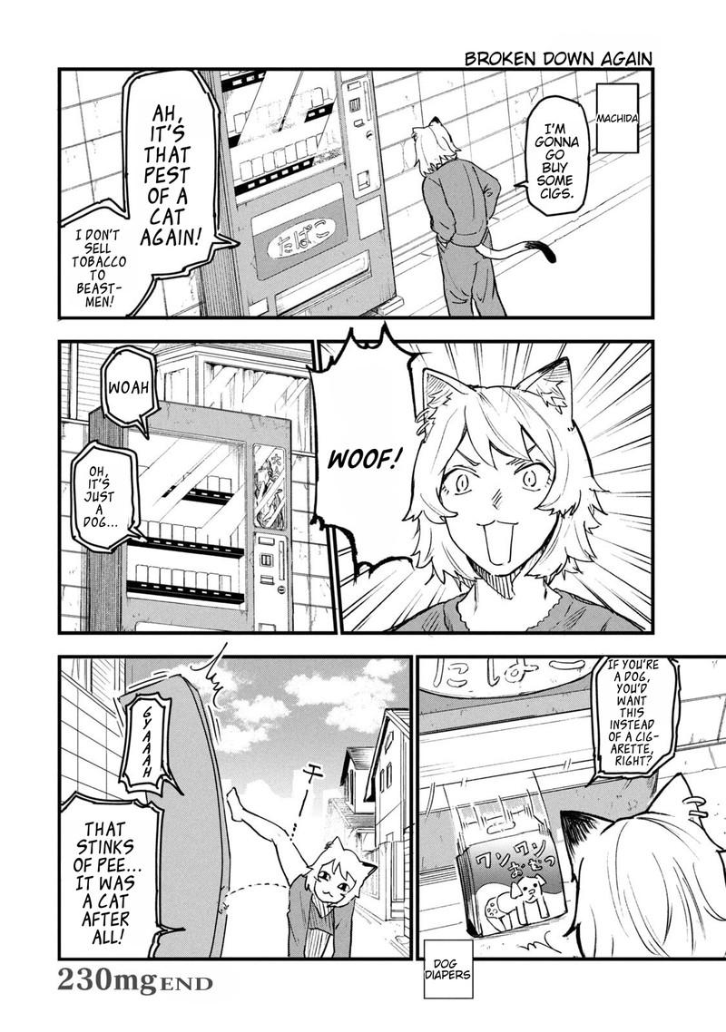 Yani Neko 230 4