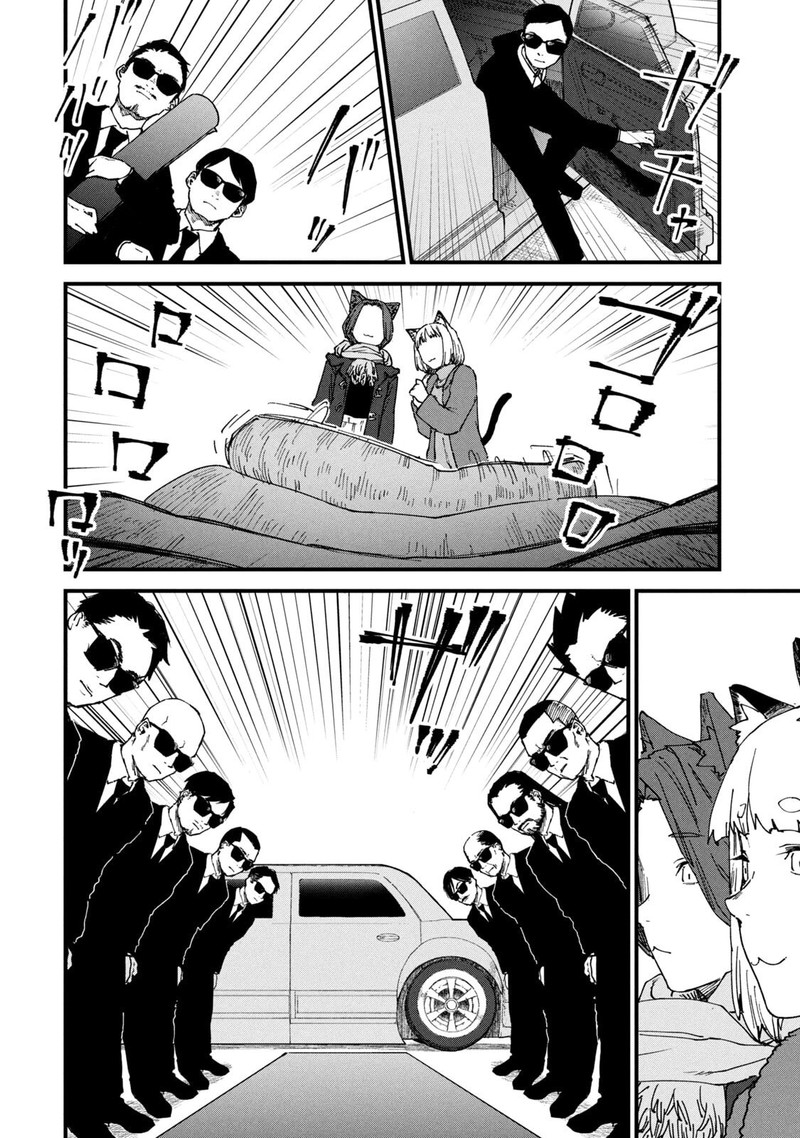 Yani Neko 236 2