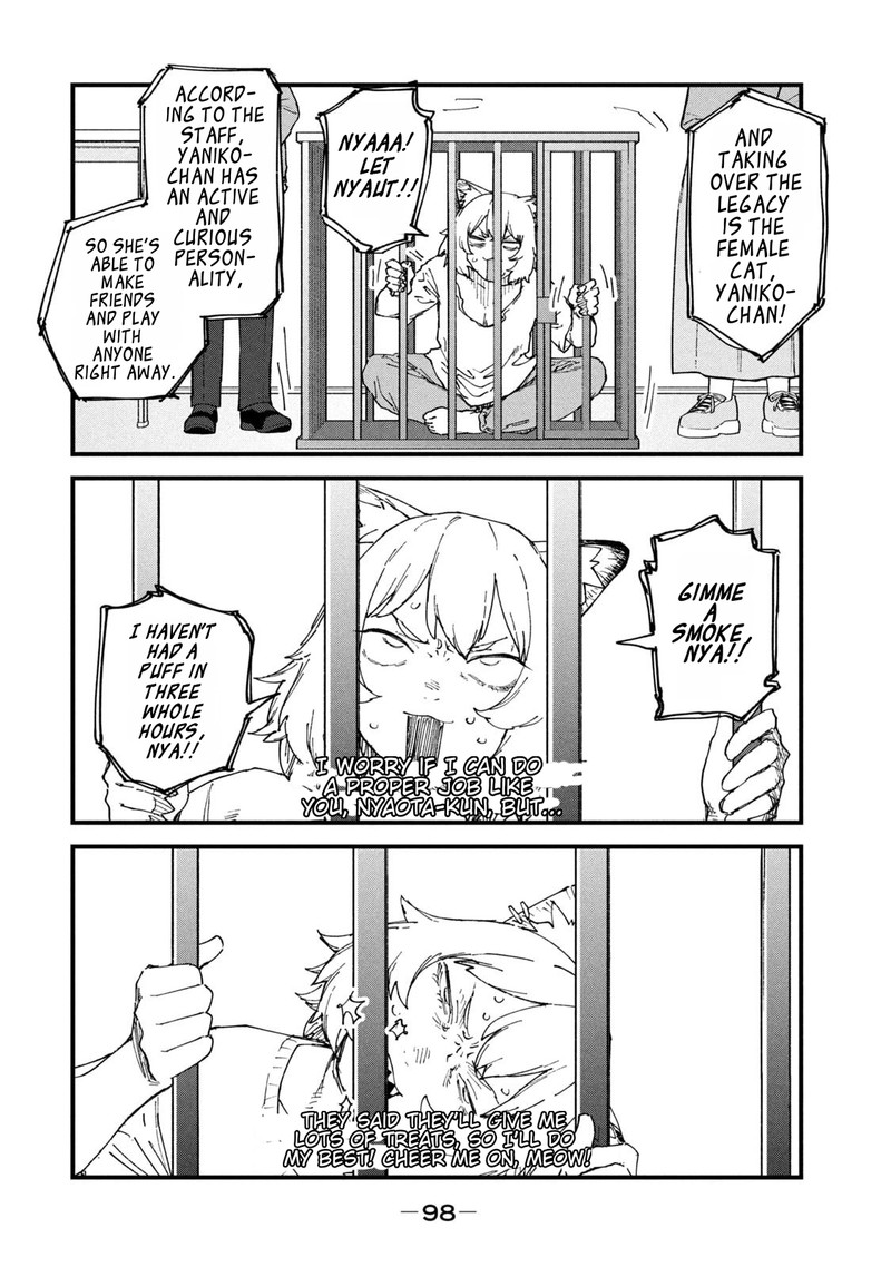 Yani Neko 237 2