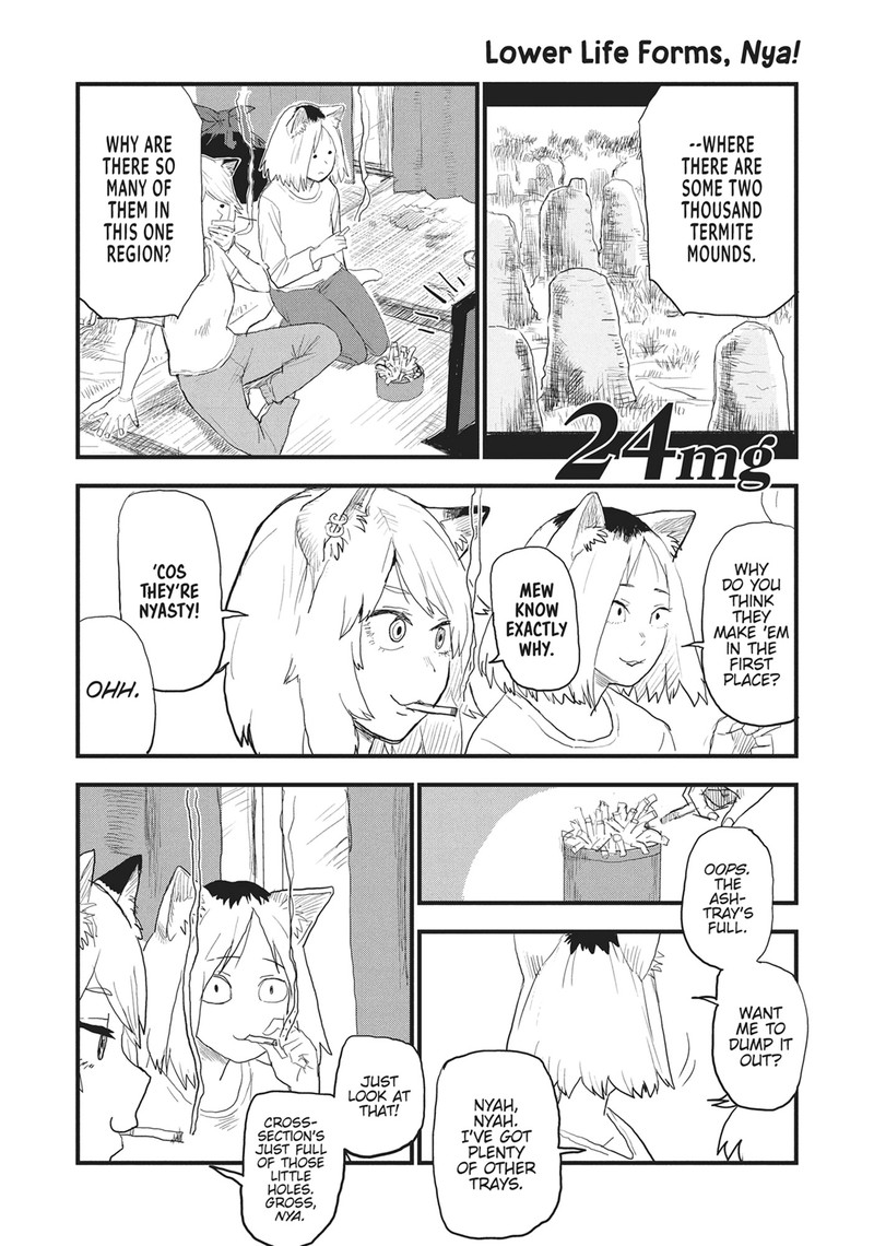 Yani Neko 24 1