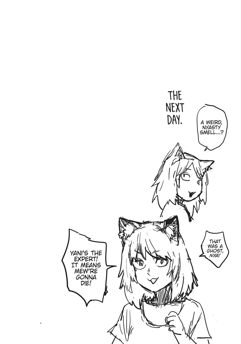 Yani Neko 24 4