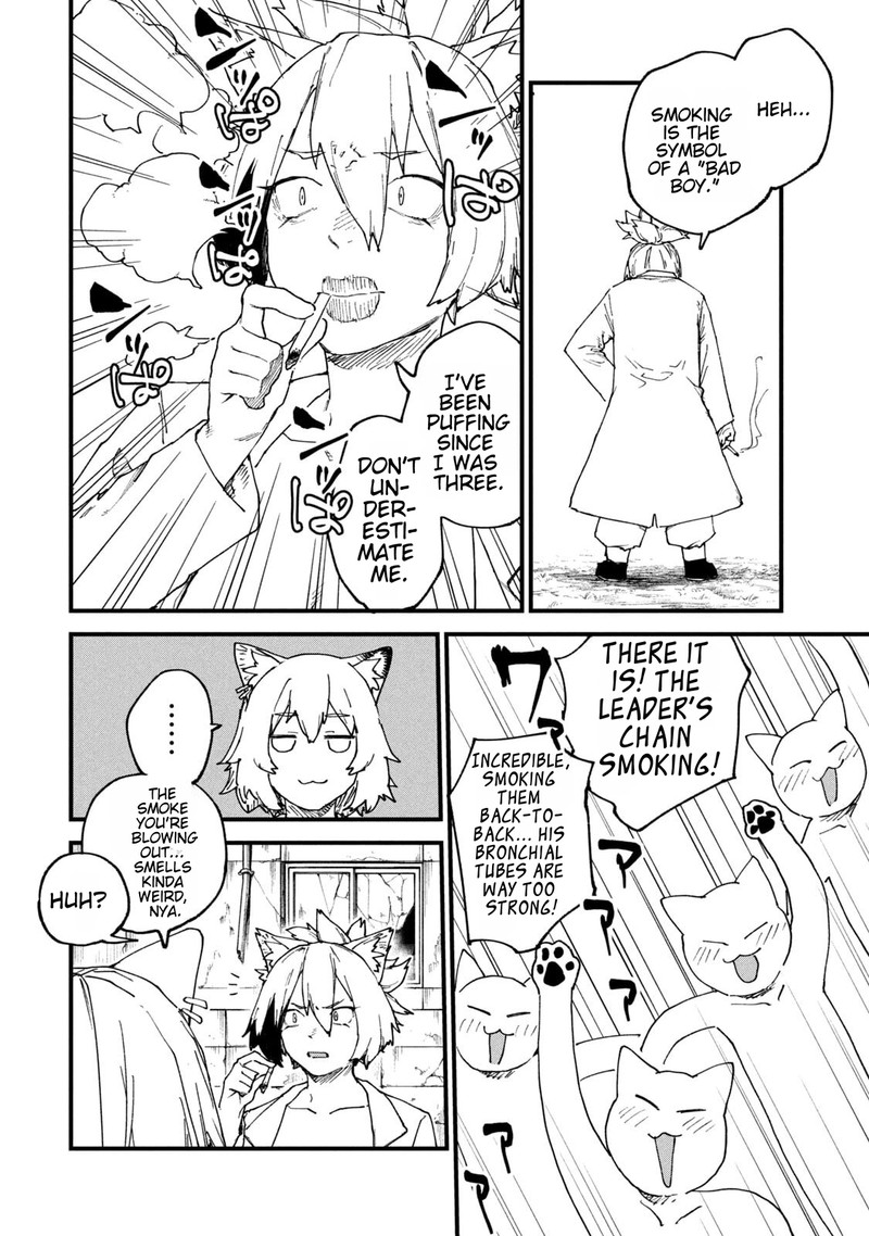 Yani Neko 240 4