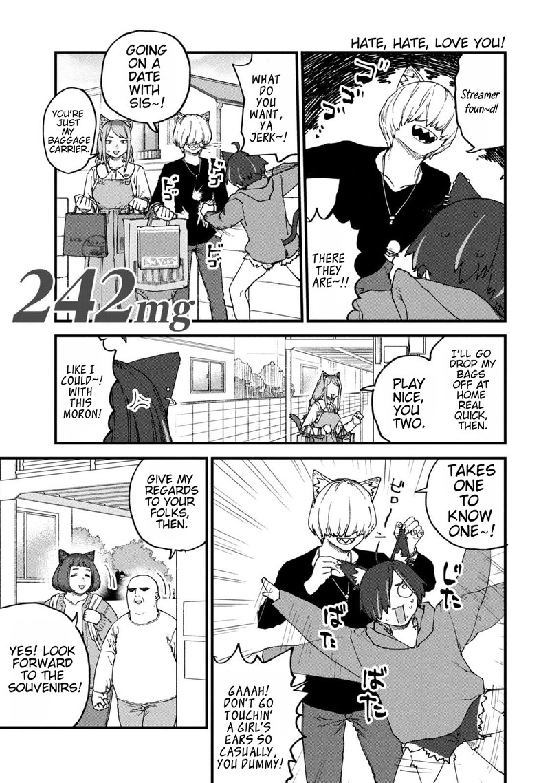 Yani Neko 242 1