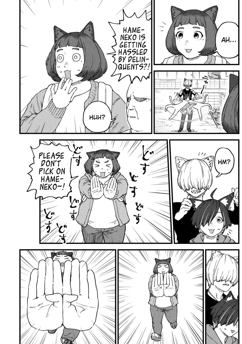 Yani Neko 242 2